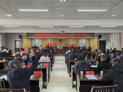 汀泗桥镇：擘画发展新蓝图 凝聚奋进新力量 