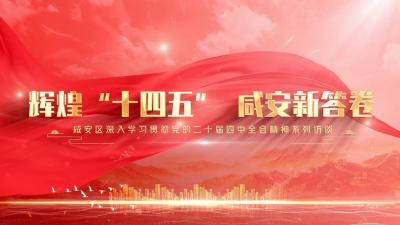 【辉煌“十四五” 咸安新答卷】系列访谈栏目④ | 乡村振兴篇