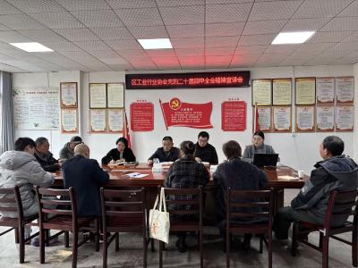 区工业行业协会举办党的二十届四中全会精神宣讲会