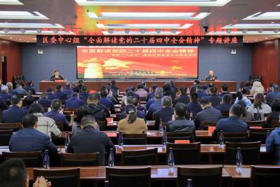 区委理论学习中心组开展“全面解读党的二十届四中全会精神”专题讲座