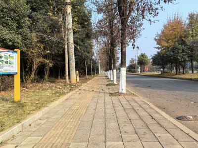 咸安城管：穿上“越冬防护衣” 咸安通江大道颜值防护双提升