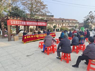 区统计局：“宪”在行动 统计同行