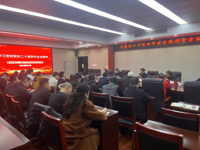 学深悟透聚共识 实干笃行谱新篇 区委办公室举行学习贯彻党的二十届四中全会精神专题宣讲会