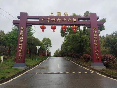 向阳湖镇：支部领航 “种”出新风景