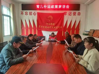 汀泗桥镇赛丰村：育儿补贴政策“零距离” 惠民服务暖民心