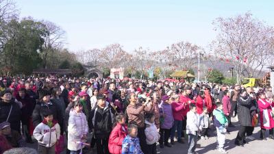 桂乡有集・汀泗有约 富美汀泗市集引6000市民打卡 销售额破33万