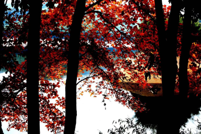 秋日汀泗之风物人间