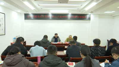 区委巡察办举办党的二十届四中全会精神宣讲报告会