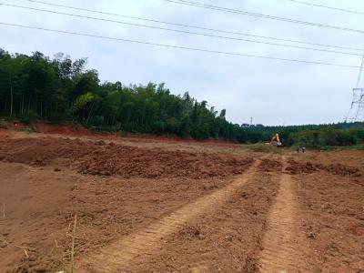 荒地生金，沃野新添——汀泗桥镇马鞍村扎实推进耕地流出工作，昔日林地荒坡变身良田
