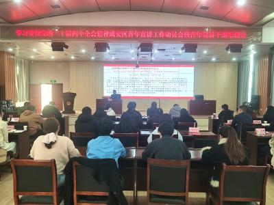 团区委组织召开学习贯彻党的二十届四中全会精神咸安区青年宣讲工作动员会暨青年宣讲干部培训会