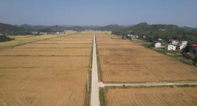 2025，咸安政协委员这些好提案落到实处②