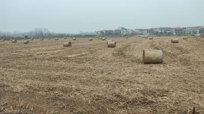 从“田间包袱”到“可用资源” 秸秆分类利用解禁烧难题