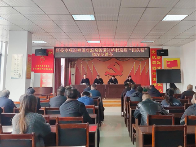 区委专项巡察组向温泉街道肖桥村反馈巡察情况