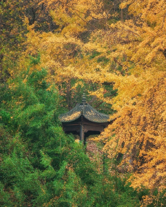 秋日汀泗之物阜民丰 