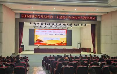 向阳湖镇开展学习贯彻党的二十届四中全会精神专题宣讲活动 --学深悟透聚共识 实干笃行显担当