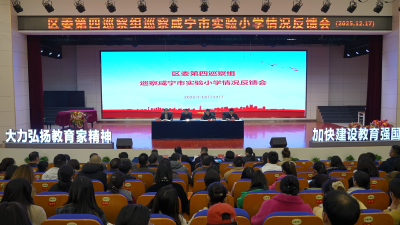 区委第四巡察组向咸宁市实验小学反馈巡察情况