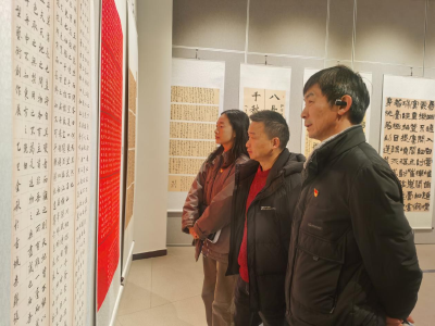 浮山街道银泉社区党员参观“咸宁群星奖”作品展