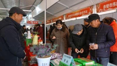 供销集市年味浓 咸安特色农产品圈粉无数
