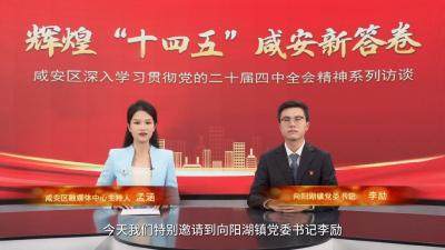 【辉煌“十四五” 咸安新答卷】系列访谈栏目⑧ | 城乡发展篇——向阳湖镇