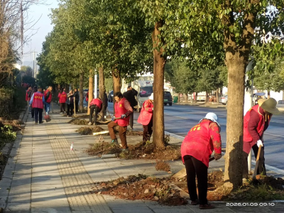 汀泗桥镇：开展镇域沿线绿化治理 助力清洁家园攻坚行动