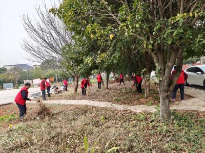 官埠桥镇：“清洁家园”进行时 美好生活共创造