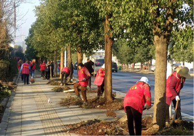 汀泗桥镇：精准发力补短板 “清洁家园”绘新卷