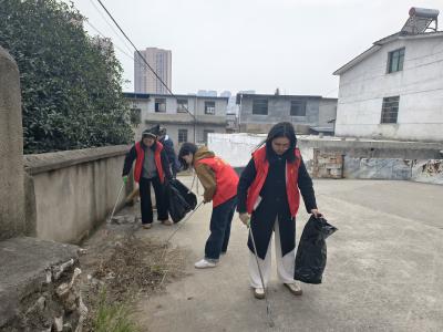 浮山街道：多方参与，共筑美丽家园