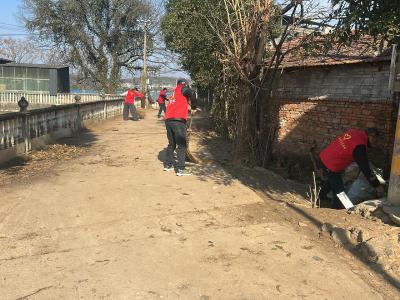 马桥镇：党员带头群众参与  助力绘就和美乡村新图景