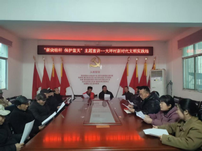 汀泗桥镇大坪村：“禁烧秸秆 保护蓝天”主题宣讲活动