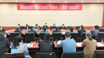 【聚焦咸安两会】凝聚智慧和力量！各联组政协委员热烈讨论  