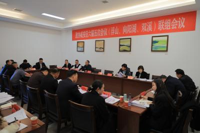 咸安两会：近500名代表委员建言献策竞风采