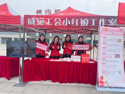 咸安工会“小红娘”工作室：公益牵线赶大集，精准服务促良缘