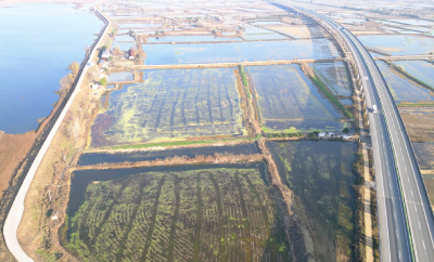 咸宁咸安：稻虾鸭共舞 铺就田园致富路