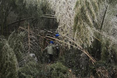 竹海里的风雪“抢修战”