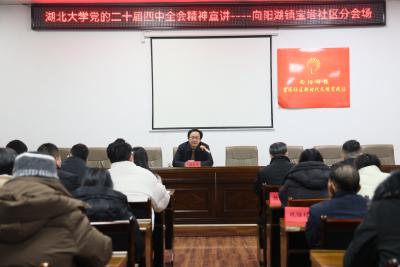 湖北大学“百马行动”宣讲团走进向阳湖镇 宣讲党的二十届四中全会精神