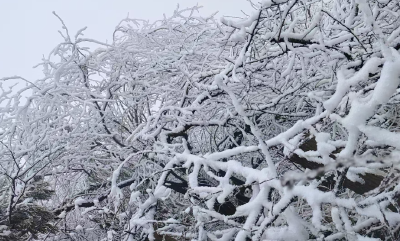 冬至过后，赴一场大幕山的雪约——藏在冰棱里的乡愁