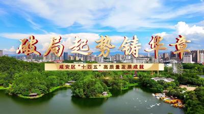 破局起势铸华章——咸安区“十四五”高质量发展成就