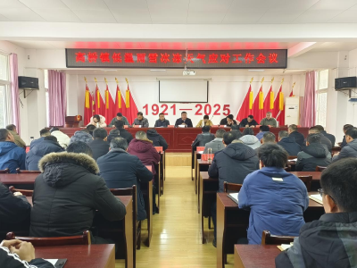 高桥镇积极部署防范应对低温雨雪天气 保障群众安全