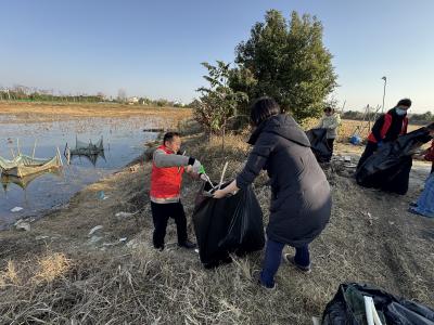 向阳湖奶牛场开展“清洁家园”行动，绘就宜居新图景
