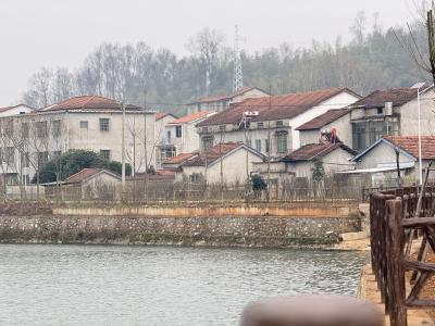 【新春走基层】咸安和美乡村变形记：聚民力 兴产业 绘新卷