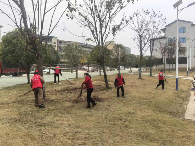向阳湖镇：专班引领 管家带动 乡村焕新颜