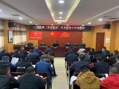 马桥镇扎实推进“清洁家园”百日攻坚行动