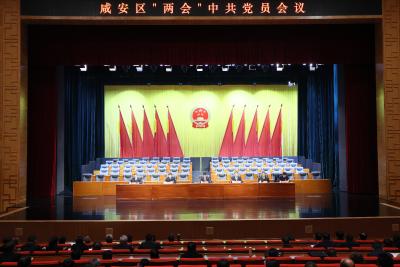 【聚焦咸安两会】区委召开两会中共党员会议