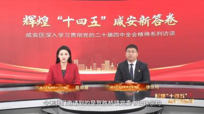 【辉煌“十四五” 咸安新答卷】系列访谈栏目⑨| 城乡发展篇——贺胜桥镇