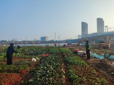 精准联动治理 咸安城市面貌持续改善