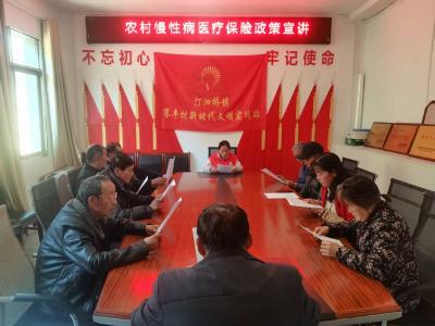 汀泗桥镇赛丰村：医保政策进乡村 健康守护暖民心