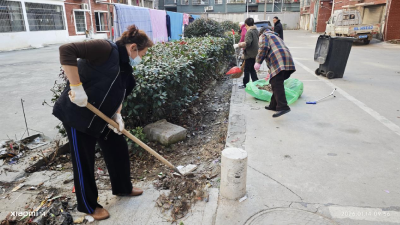 青龙社区：居民上阵齐参与 清洁家园焕新颜