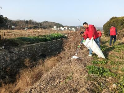 高桥镇：清河净域齐行动 人居环境焕新颜