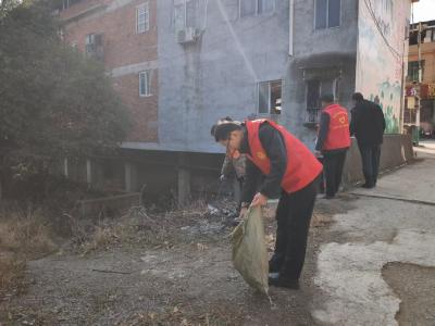 双溪桥镇：“清洁家园”攻坚发力 绘就乡村宜居新图景