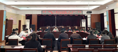 咸安区召开2025年度新兴领域党建工作述职评议会